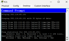 image-20250801163942778