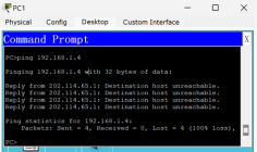 image-20250801163950470