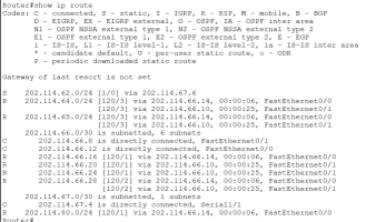 image-20250801164051390