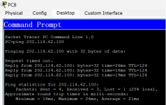 image-20250801164325818